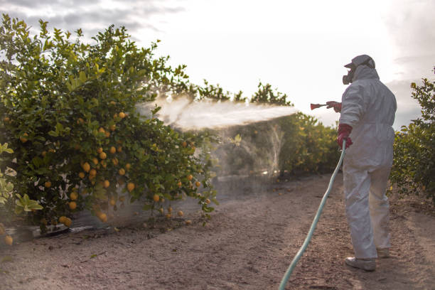 Pest Prevention Services in Mandeville, LA